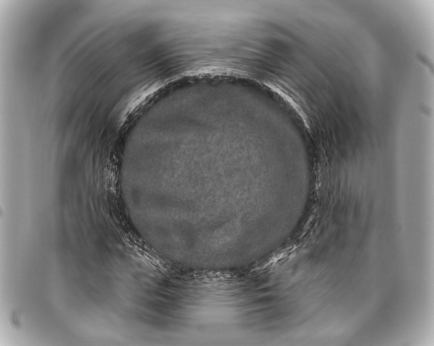 X0000096990823200802221455