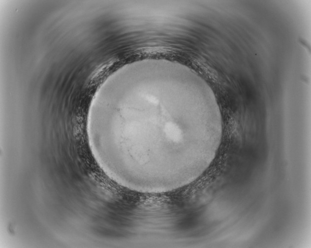 X0000096990824200802221455