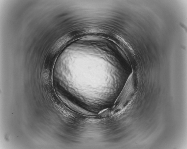 X0000096990825200802221455