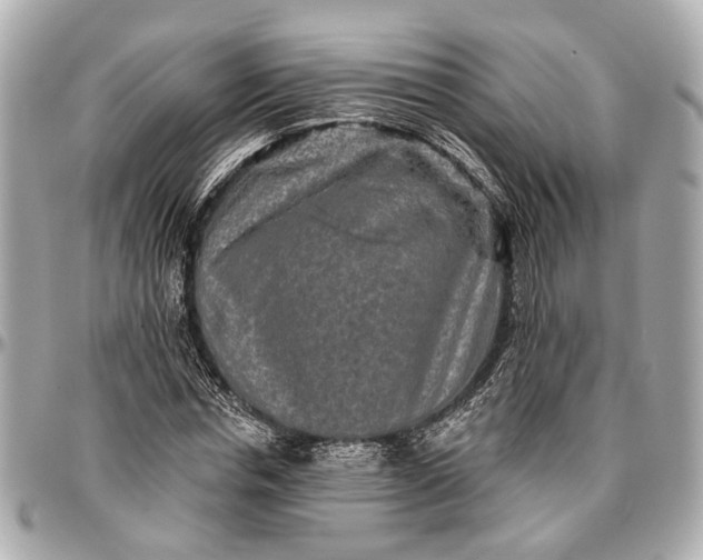 X0000096990826200802221455