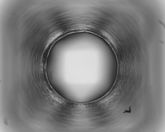 X0000096990827200802221455