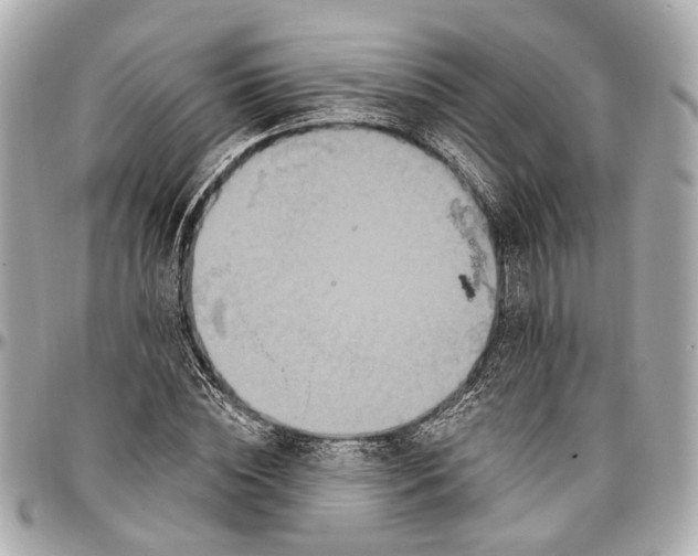 X0000096990828200802221455