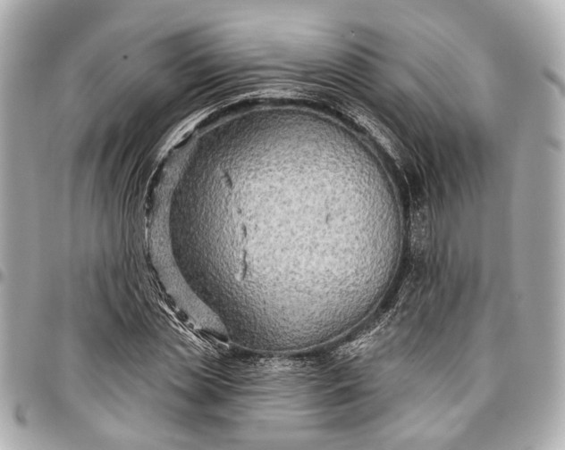 X0000096990829200802221455