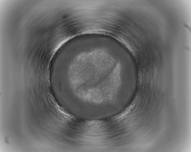 X0000096990830200802221455