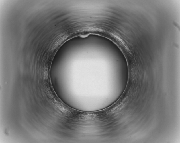 X0000096990833200802221455