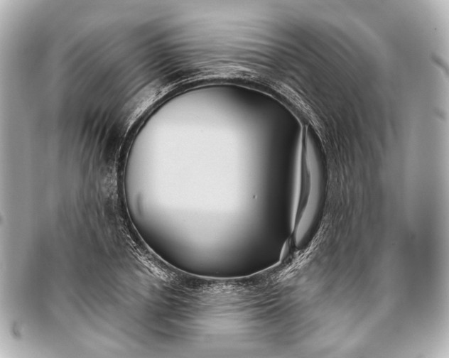 X0000096990834200802221455