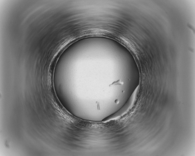 X0000096990835200802221455