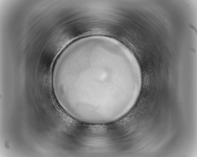 X0000096990836200802221455