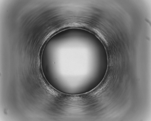 X0000096990837200802221455