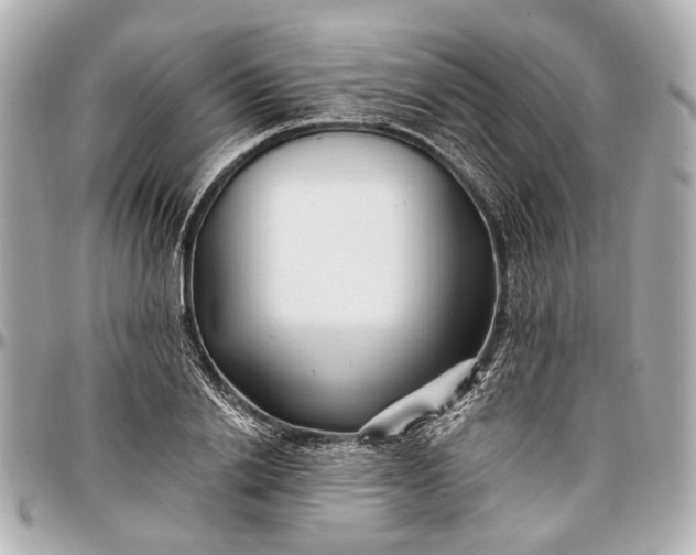 X0000096990838200802221455