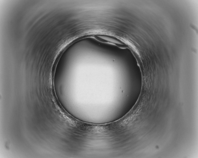 X0000096990839200802221456