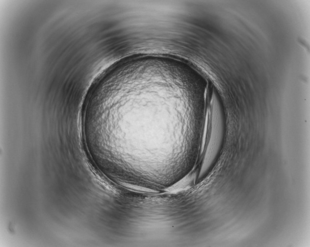 X0000096990840200802221456