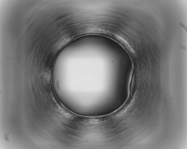 X0000096990841200802221456