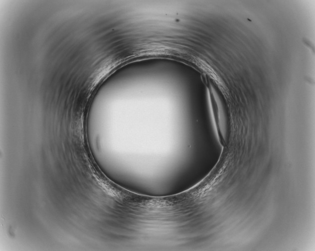 X0000096990842200802221456