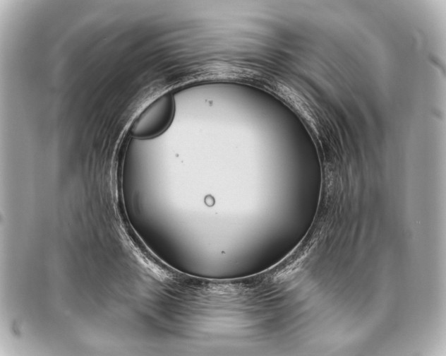 X0000096990843200802221456