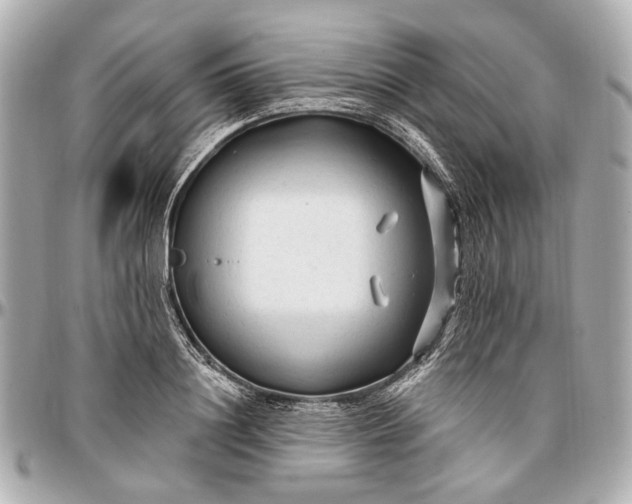 X0000096990844200802221456