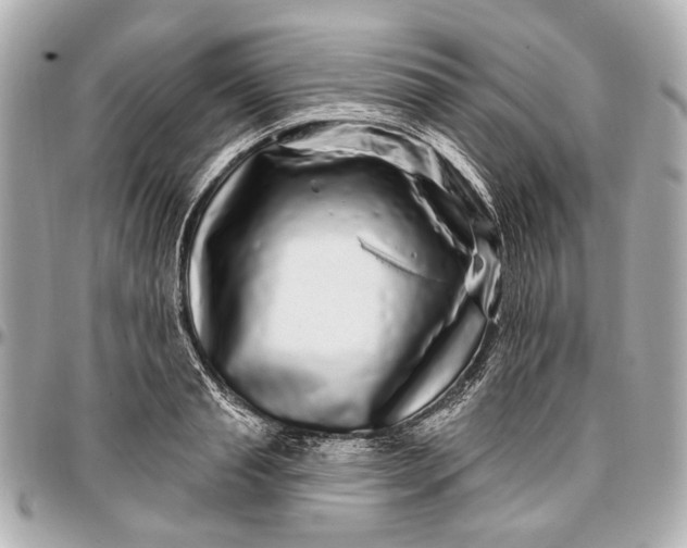 X0000096990845200802221456