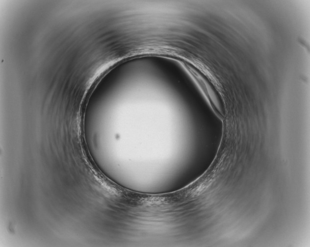 X0000096990846200802221456