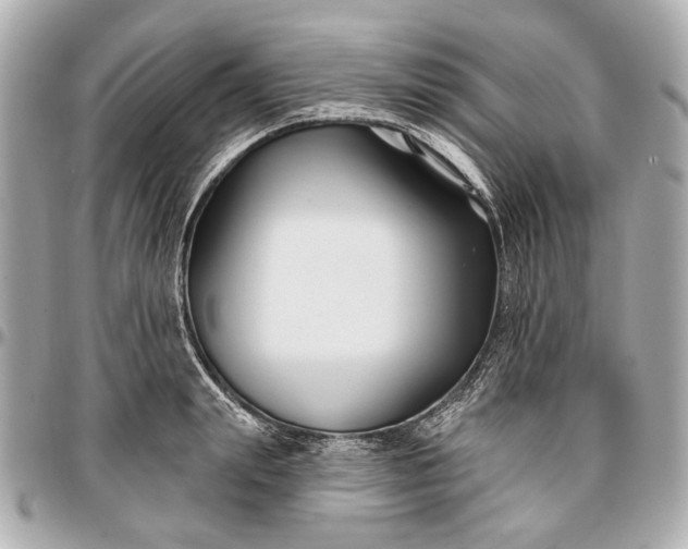 X0000096990847200802221456