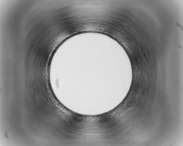 X0000096990848200802221456