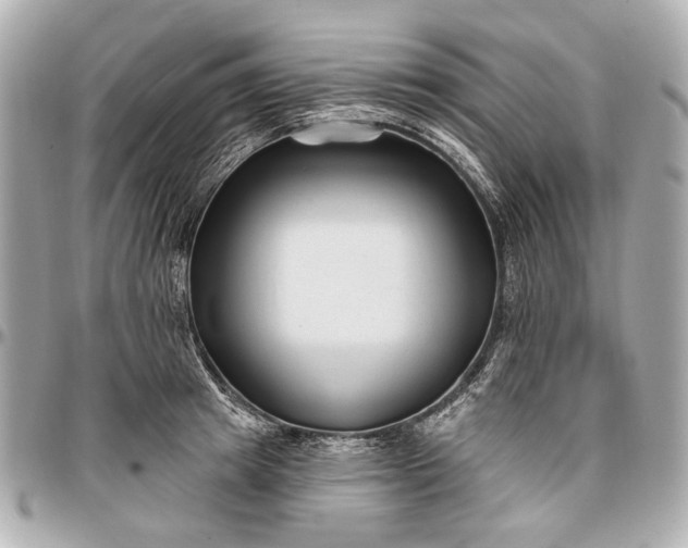 X0000096990849200802221456