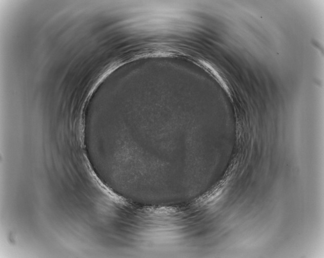 X0000096990851200802221456