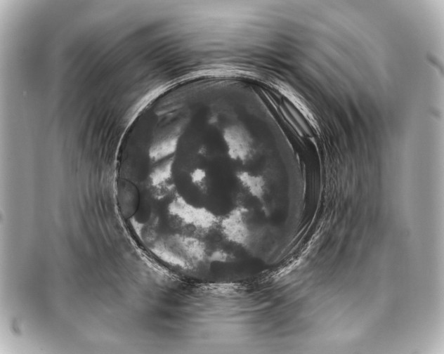 X0000096990853200802221456