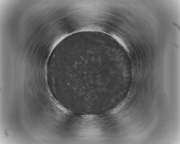 X0000096990854200802221456