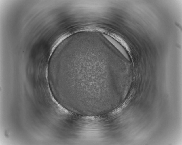 X0000096990855200802221456