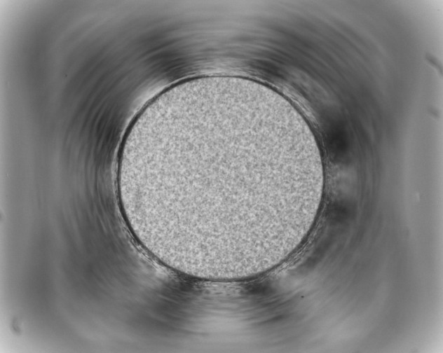 X0000096990856200802221456