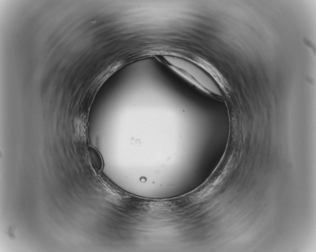 X0000096990857200802221456