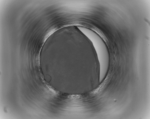 X0000096990858200802221456