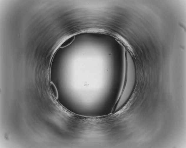 X0000096990860200802221456