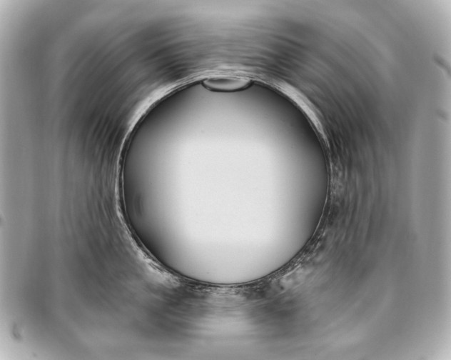 X0000096990861200802221456