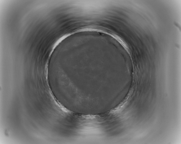 X0000096990862200802221456