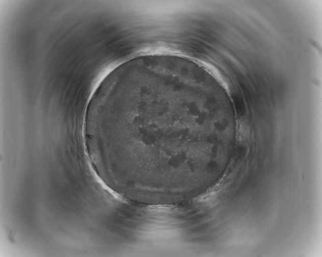 X0000096990863200802221456