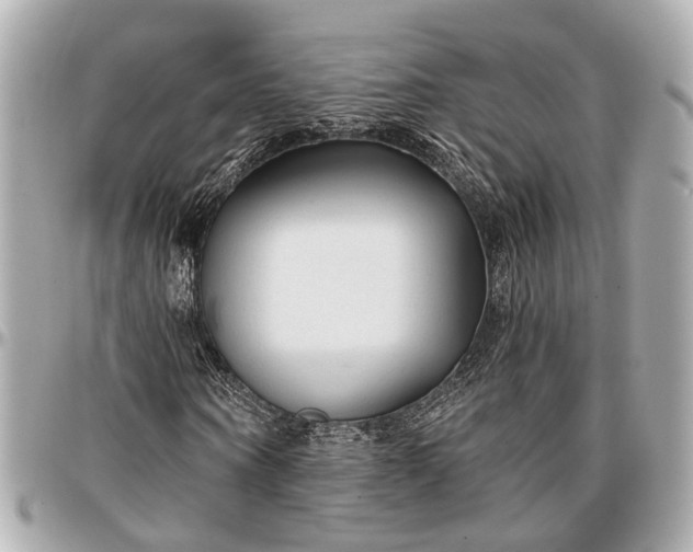 X0000096990866200802221455