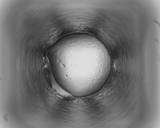 X0000096990867200802221455