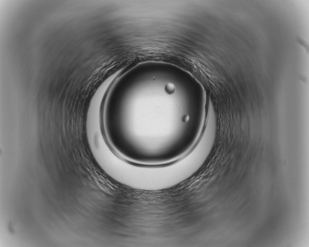 X0000096990868200802221455