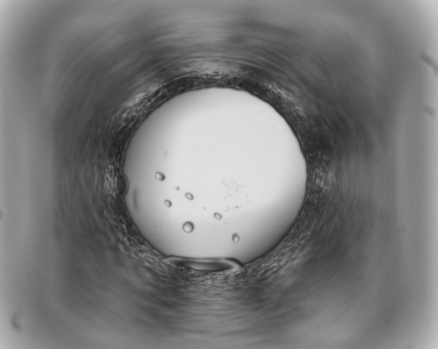 X0000096990869200802221455