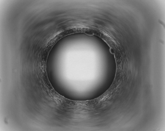 X0000096990870200802221455