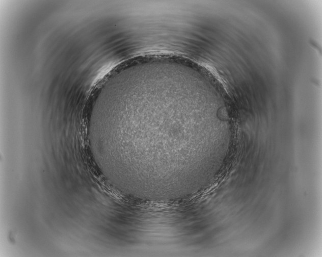 X0000096990871200802221455