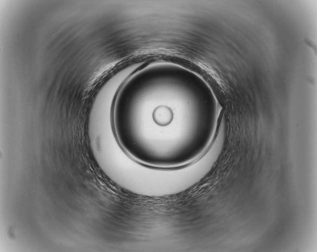 X0000096990872200802221455