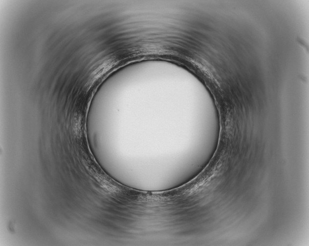 X0000096990873200802221455