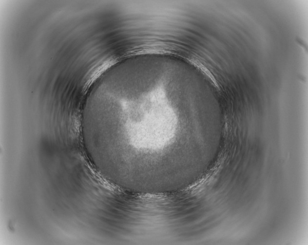 X0000096990874200802221455