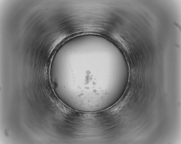 X0000096990875200802221455