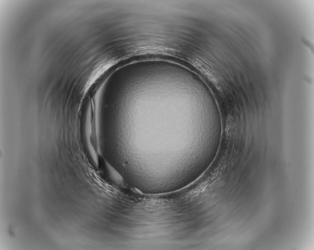 X0000096990877200802221455