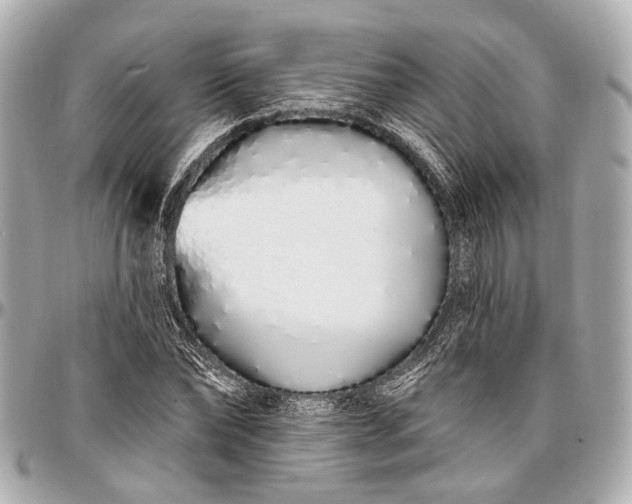 X0000096990878200802221455