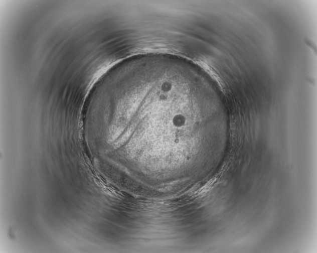 X0000096990879200802221455