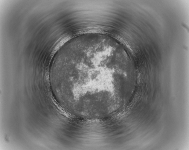 X0000096990882200802221455